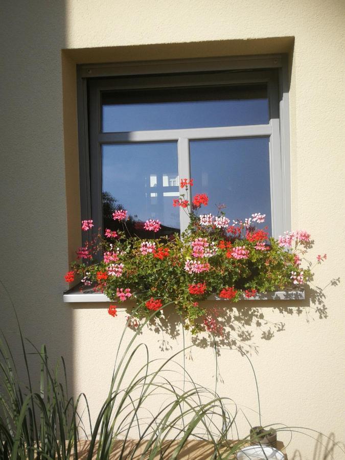 Appartementhaus Nienburg エクステリア 写真